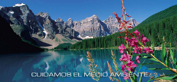 MEDIOAMBIR