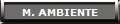 M. AMBIENTE